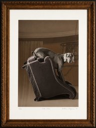 William Wegman Side View Limited Edition Framed Print (6/32), 1993