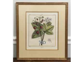 Capron Botanical Print