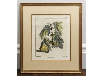 Figure Blanche Botanical Print