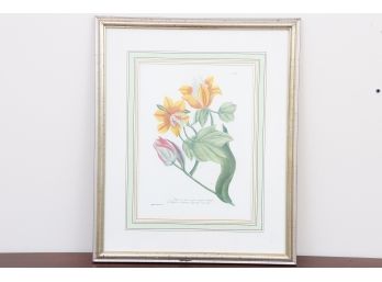 Framed Botanical