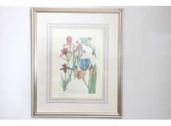 Framed Botanical