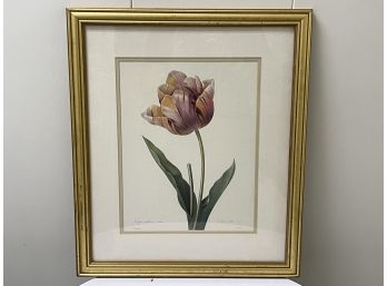 Framed Botanical Print
