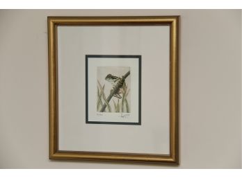 Watercolor Frog Pencil Signed And Numbered