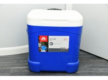 Blue Igloo Cooler