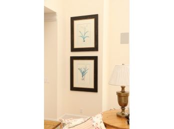 Pair Of Botanical Prints Framed