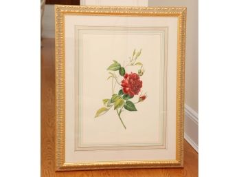 Botanical In Gold Frame