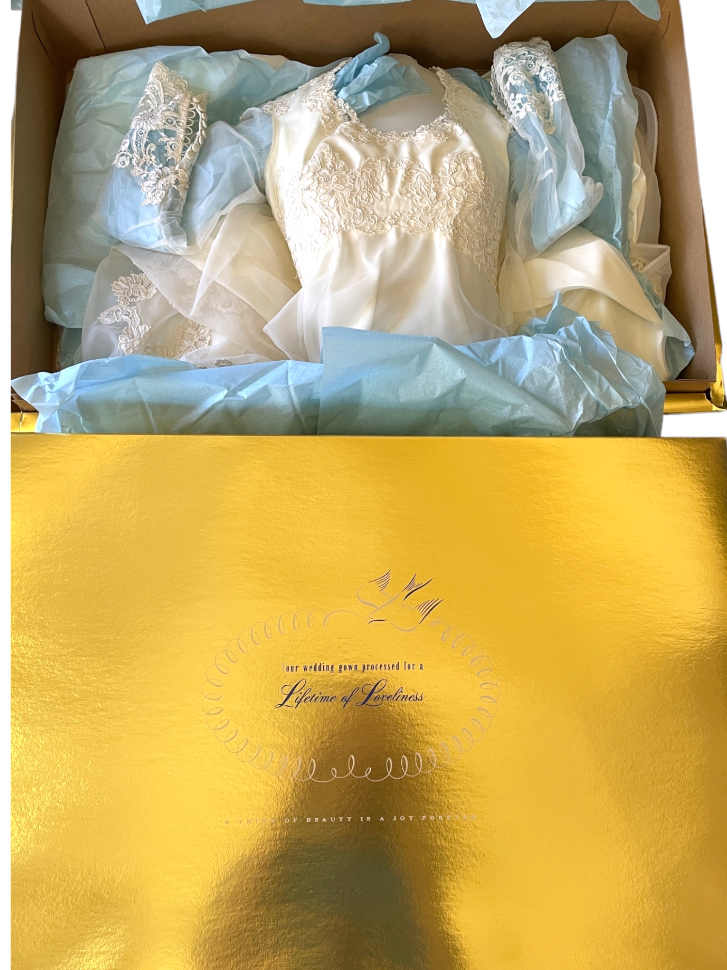 Gorgeous Lifetime Of Loveliness Wedding Dress Cream & White, Veil,  Purse/Bag And Amazing Crown In Original Box #11511 | Auctionninja.com
