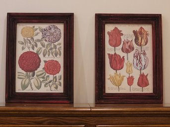Botanical Floral Art Prints After Michael Bernard Valentini Matted And Framed In  Red Wood Frame 18 X 13 #32