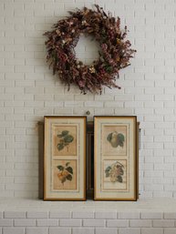 Pair Of Framed Botanical Fruit Prints By Piere Joseph Redoute  17' X 33.5' #59