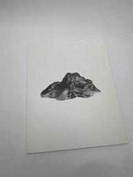 Shit And Doom-NO!art,   Boris Laurie Art Foundation Art Book, Curated By Tim Steer, 11x8