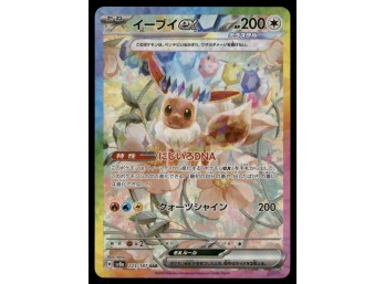 Eevee EX SAR Terastal Festival Japanese Pokemon Card
