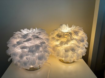 Set Of 2 Bohemian Feather Table Lamps