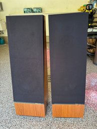 Two Vintage Thiel Speakers