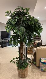 Faux Potted Weeping Fig Tree