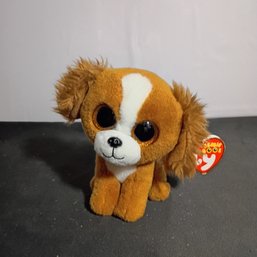 Ty Beanie Boo Plush Toy Named Tala, A Brown And White Dog With Glittery Eyes (NM)