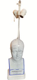 Vintage Porcelain Phrenology Model Mounted As Lamp