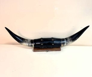 Wall Mounted Polished Brindle Sheer Horns