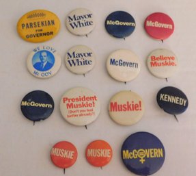 Political Pins Discovery Lot