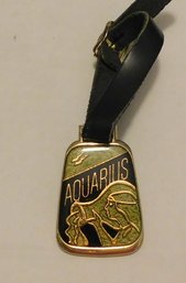 Watch Fob Astrological Sign Aquarius