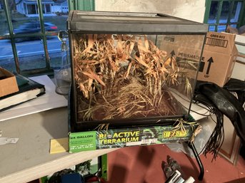 24 Gallon Terrarium With Lights And Drain