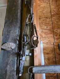 (3) Antique Bear/Animal Traps