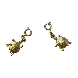 Squirt X2 Sea Turtle Charms