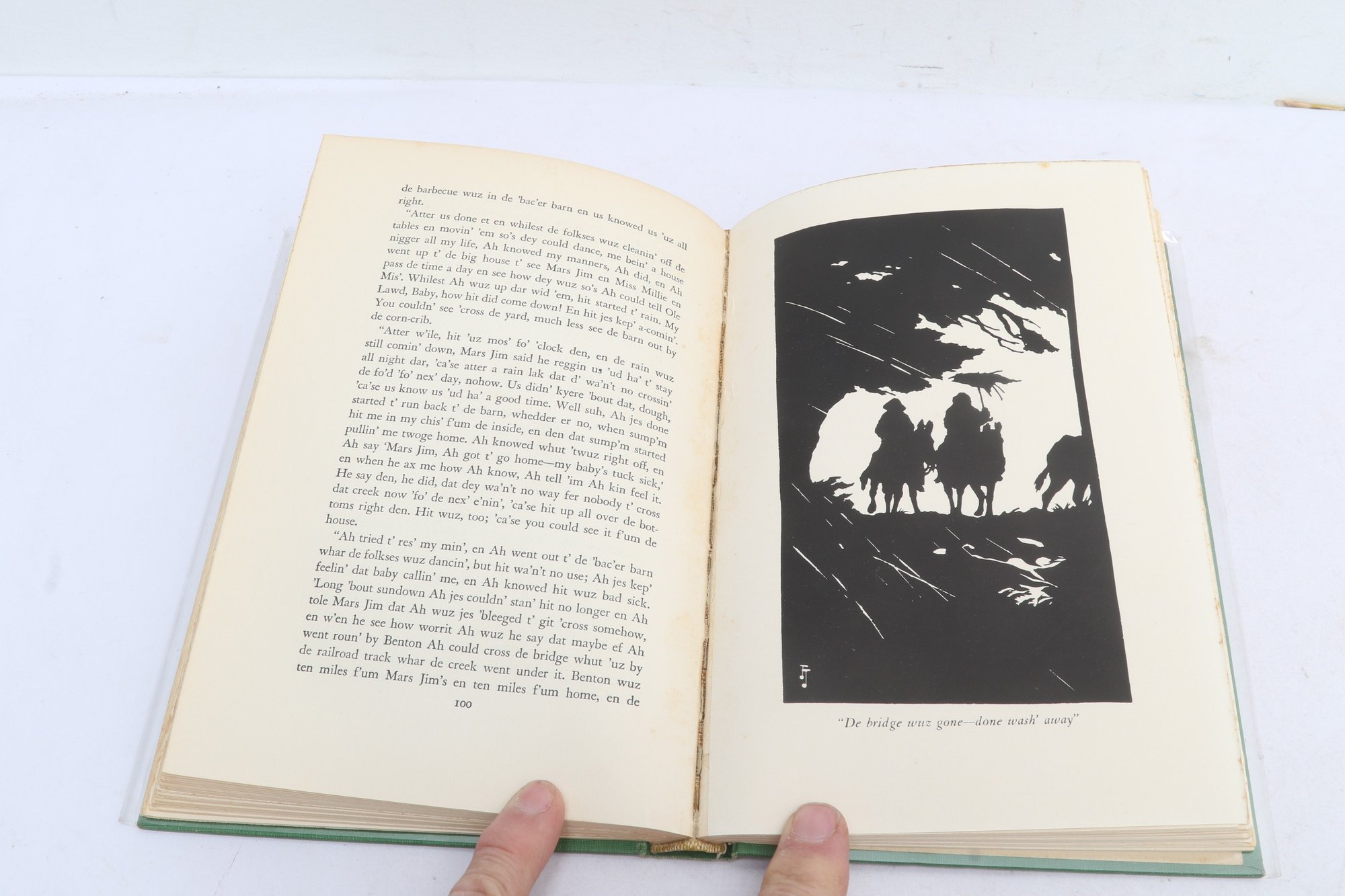 Sale, John, Tree Named John, University Of North Carolina Press, Chapel ...
