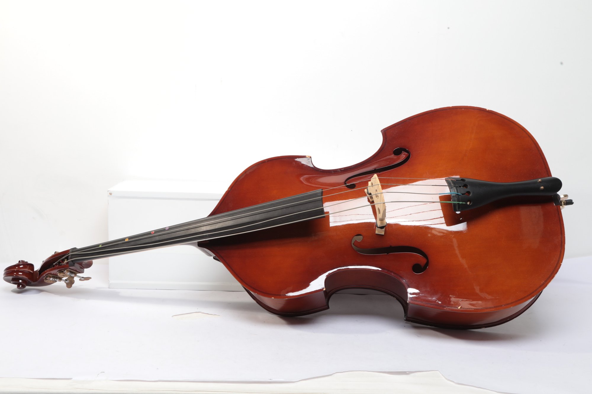 Frederick A. Strobel Upright String Double Bass In Soft Case Model MB ...