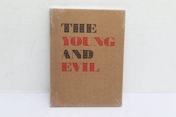 LGBTQ The Young & Evil Queer Modernism In New York 1930 To 1955 Art Culture History