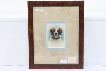 Circa 1900 Rare Saint Bernard Pampered Dog Cigarette Silk Premium