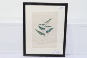 CA 1805 Curtis, Original Engraving/hand Color