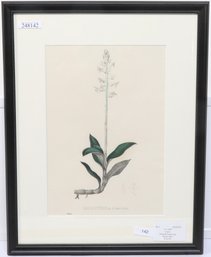 1805 Curtis Original Hand Colored Engraving