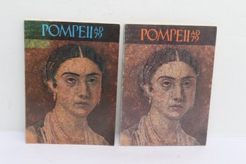 Pompeii Ad 79 Exhibition Catalog 2 Volumes National Archaeological Museum Naples, Boston Chicago, 1978 Pom