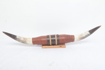 Mounted Bull Horns