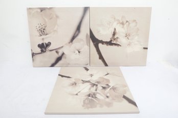 Trio Of Floral Print Canvases