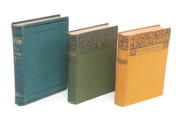 Three American 19th-Century Novels In Decorative Cloth Bindings