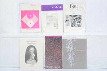 Architecture & Art Periodicals Lot Bau Magazine 1965 & 1966 JAE Journal & David Roth Interference Paintings