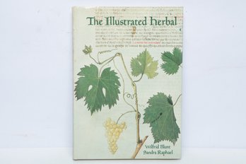 Botanical Art & The Illustrated Herbal Wilfrid Blunt & Sandra Raphael HC DJ Illustrated Thames & Hudson