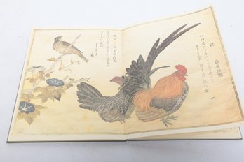 Japanese Art: Utamaro: A Chorus Of Birds, Metropolitan Museum Of Art/Viking Press, 1981 Slipcase Illustrated