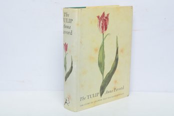 Horticulture: The Tulip By Anna Pavord, 1999 First US Edition HC DJ, Illustrated Bloomsbury History