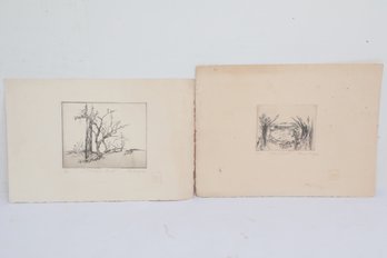 Noreen Moglia Numbered Nature Pencil Sketches