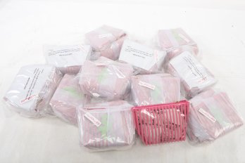 22 LOLO Watch Hill Medium Avery PVC Bags:  Clear W/Pink Stripes & Seahorse/Green (5' X 8' X 3')