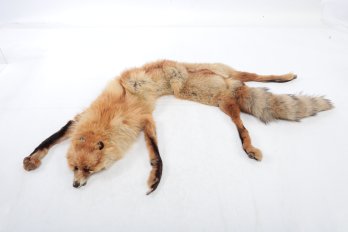 Vintage Fox Fur Stole Or Wrap