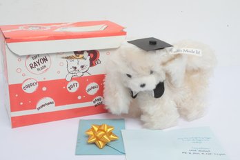 Vintage Jerry Pets Box W/ Graduate Dog