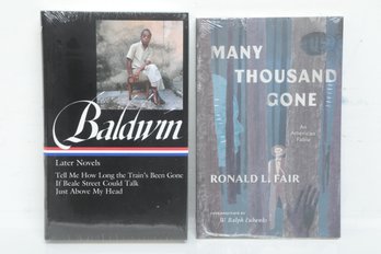 African American Literature, James Baldwin Library Of America Set And Ronald L. Fair