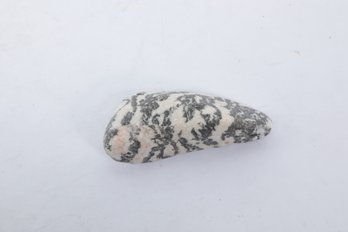 Zebra Jasper