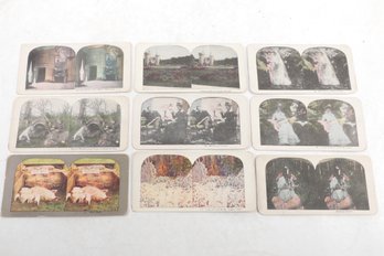 Collection Of 8 Stereoview Cards, 'Luna Isle And Bridge, Niagara Falls.' 'Gabrielle Flowers.' 'Warm Meals  Etc