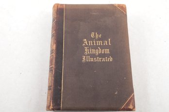 1874 Johnson's Natural History, Comprehensive, Scientific, And Popular, Illustrating And Describing The Animal