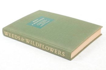 Artist Signed Weed's & Flowers By Elizabeth Sargent Copyright 1973 By Merrill Prentice