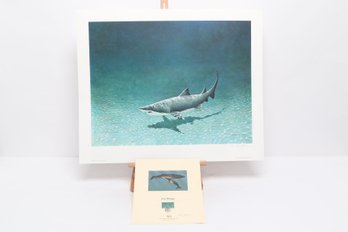 Richard Ellis Grey Nurse Shark Print WWF Fin Whale Stamp Proof Edition 21.5' X 22.75'